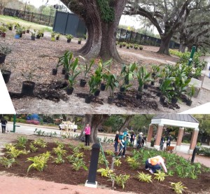 Plants were planted and covered with mulch at one of the service projects at TribeFest 2014