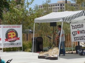 Musician at Farmers Market