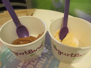 Seasonal flavors currently available at Yogurtland: Mango Peach Tea Sorbet and Mudslide