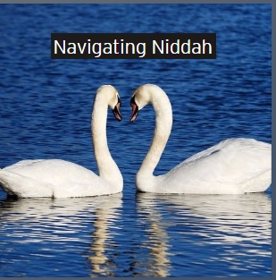 navigating niddah